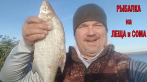 РЫБАЛКА на СОМА и ЛЕЩА. Старобешевское вдх. - отличный водоем для легкой рыбалки!