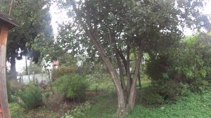 Осенние поездки на дачу