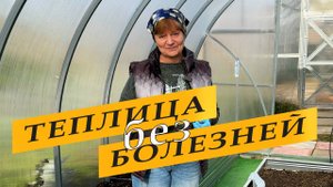Чем мою и обрабатываю теплицу. Отвечаю на вопросы.