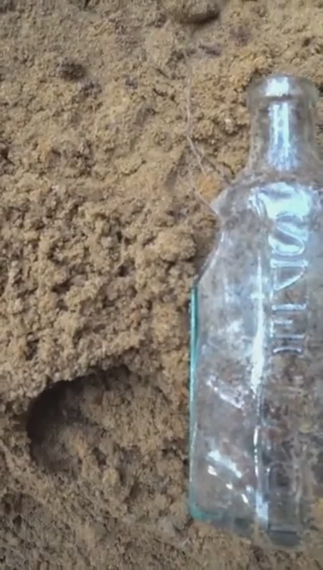 Коп по войне. Находки со дна блиндажа #digging #ww2 #shortsvideo #shorts #копповойне смотреть онлайн