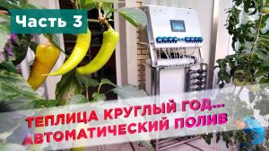 Растворный узел и автоматический полив (Часть 3)