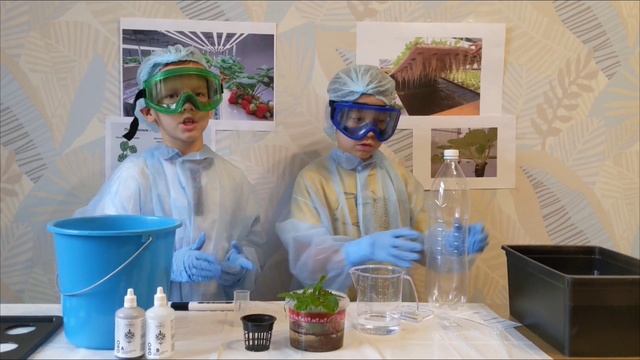 сити-фермерство - мастерята