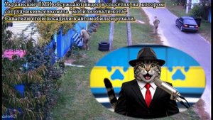 Мобилизовали Кота!