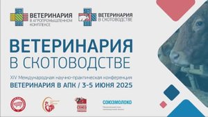 Доклад Медведев М.К. Эффективная защита жвачных животных