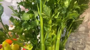 Сельдерей сорт Малахит