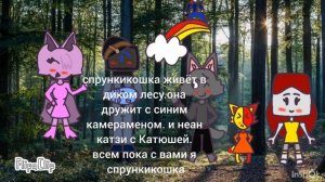 вот моё описание