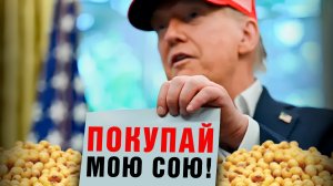 Как торговая война между США и Китаем меняет рынок сои: от опасений до решений