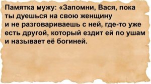Как монашка в лес за грибами ездила. Сборник анекдотов