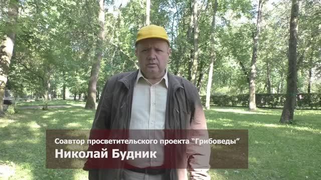 Грибы Екатерингофского парка. Дневник грибника, 25 июня 2024 года смотреть онлайн