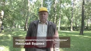 Грибы Екатерингофского парка. Дневник грибника, 25 июня 2024 года