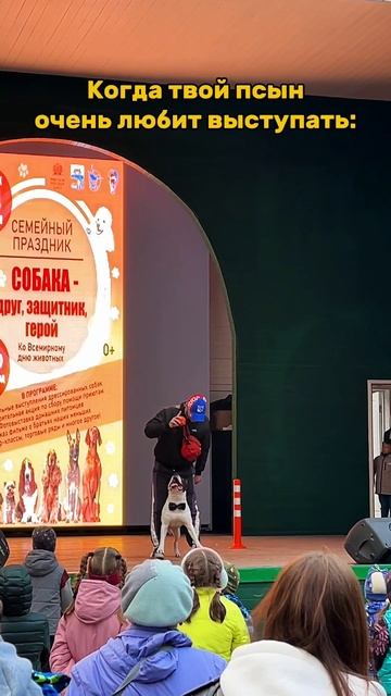 Выступление с Тао. #shorts смотреть онлайн