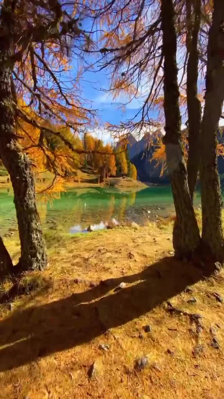 швейцария вода горы