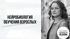 Нейробиология обучения взрослых