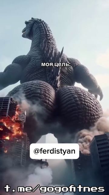 Моя цель 
