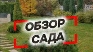 🌲🍂 ОБЗОР САДА