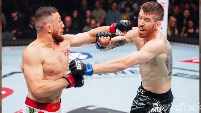 Шама снёс, Анкалаев всё, Двалишвили на спаде, Прохазка монстр, UFC 320 итоги, разбор карда