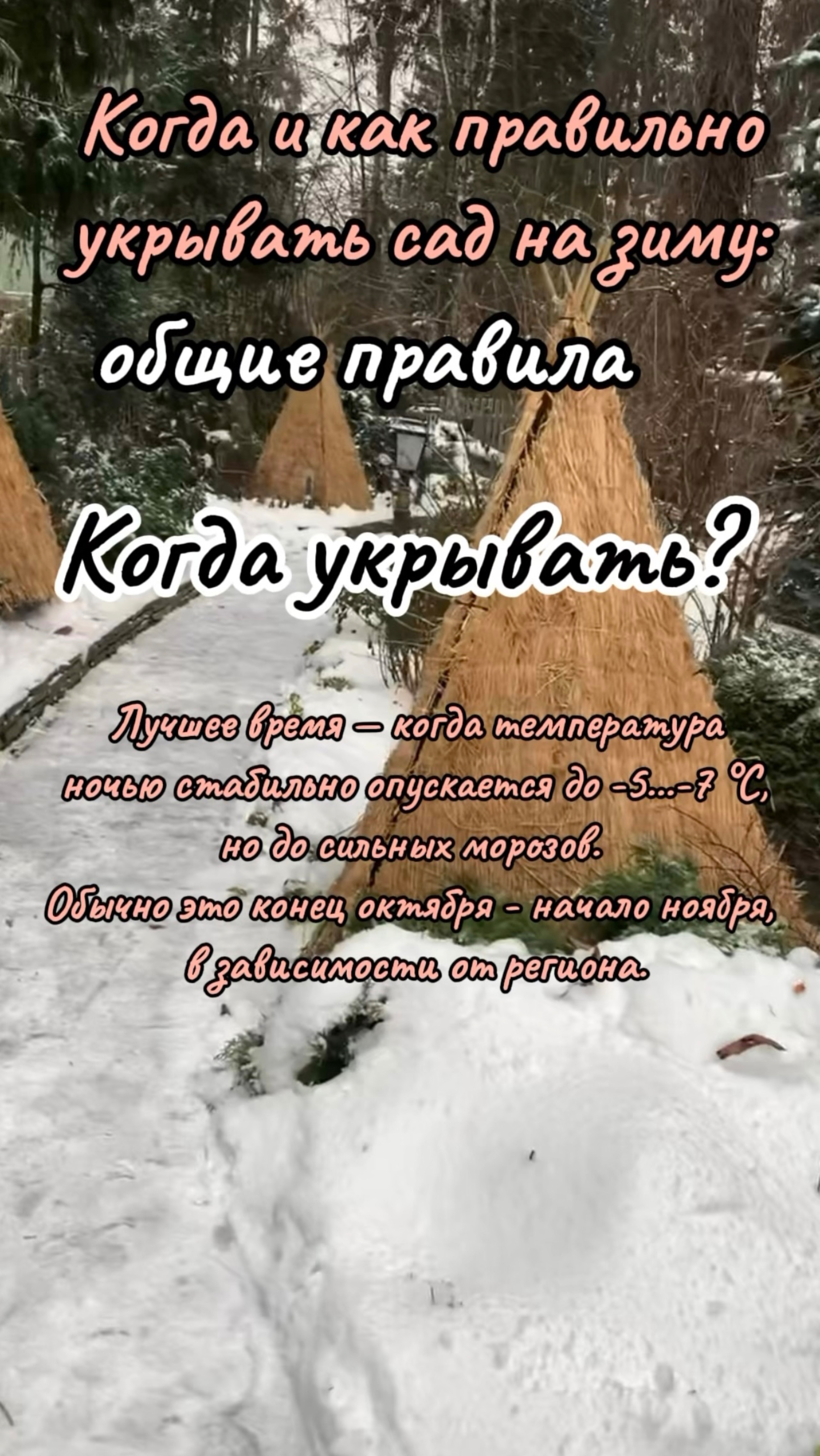 119b1377636441699d21bde2fab4281c