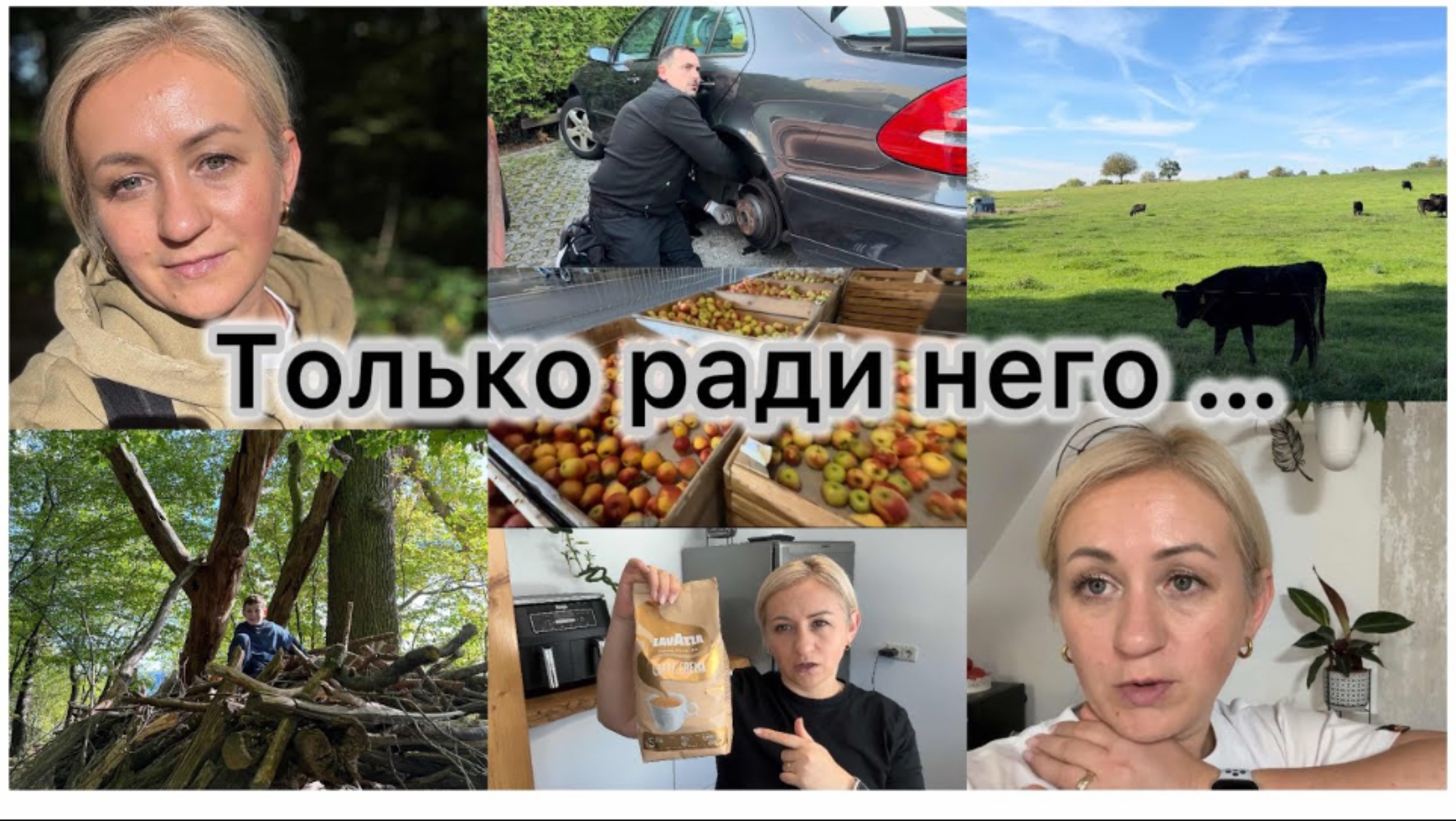 Акция в магазине Globus 🛒 Прогулка с Классом 📚 ремонт машины, своими руками 🔧  А вы так делаете
