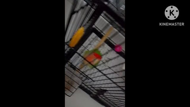 бедный Сайман