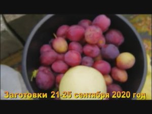 7 соток.  Созрели сливы. Делаю еще Заготовки на зиму.  Хроника 21-25 сентября 2020 год