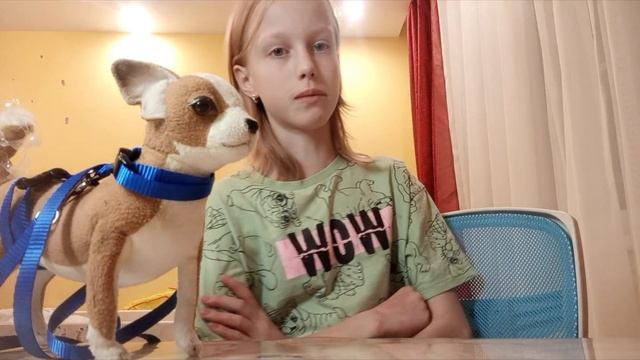 🐕новая собака!😝отдам Джесси?!🥎