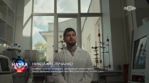 Тайна зеленого окраса кузнечика раскрыта