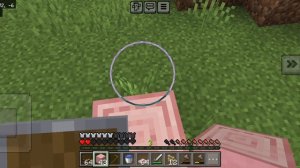 поиграл в маинкрафт