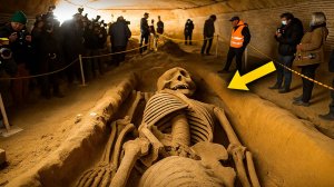 Могилу Влада Дракулы вскрыли археологи потеряли дар речи