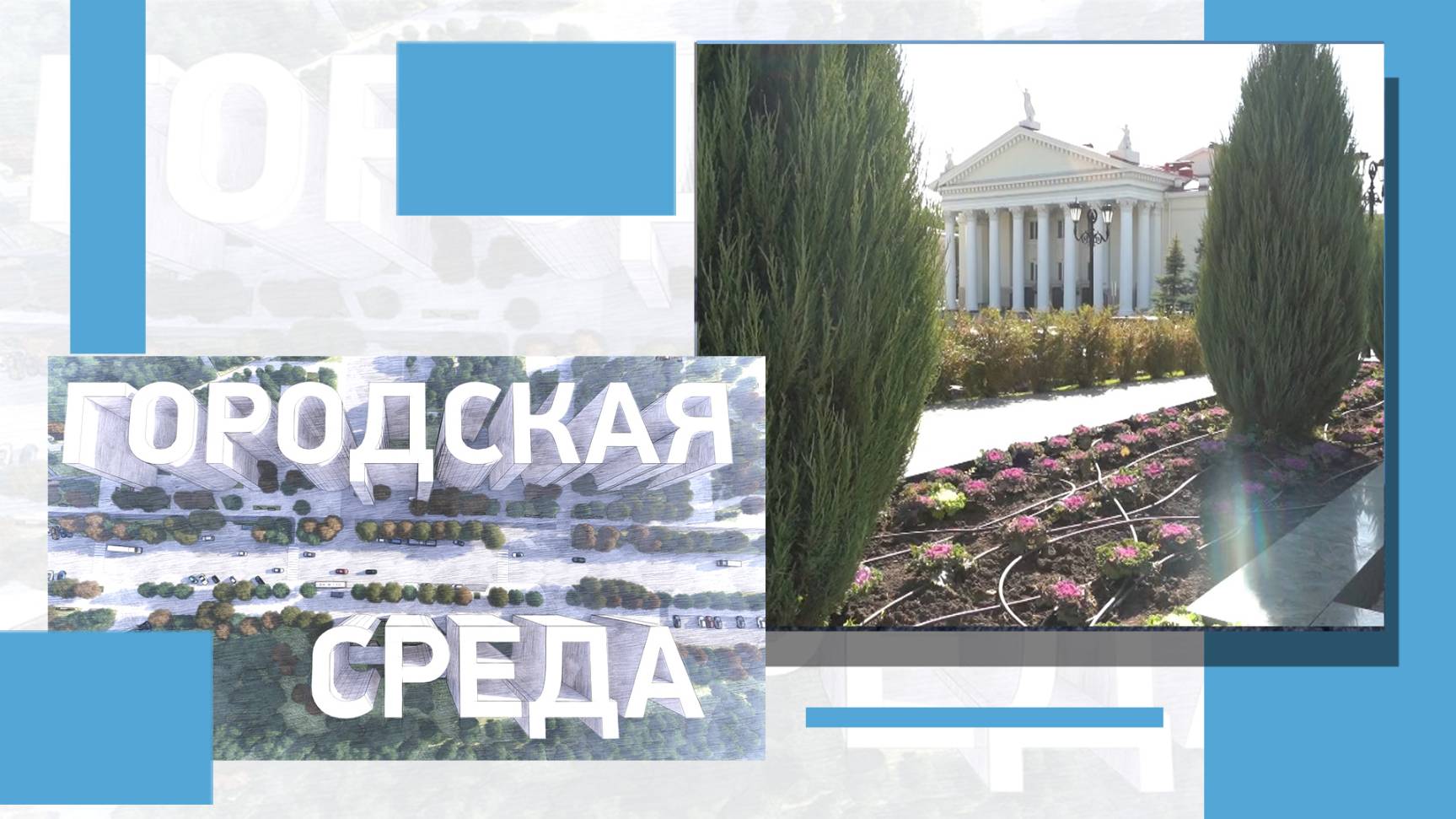 Новые подходы в озеленении городских пространств Волгограда | ГОРОДСКАЯ СРЕДА