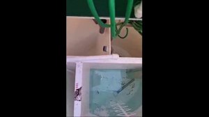 Монтаж септика Малахит CLASSIC 6 в Воронежской области #СептикиВоронеж #МалахитClassic