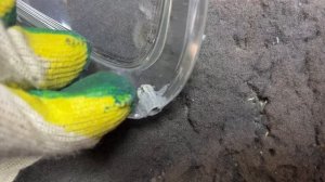 Toyota Yaris - ремонт фар, замена линз, диодные Expression Drive