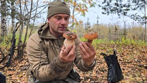 УШЕЛ В ТАЙГУ ТУМАННЫМ УТРОМ. ОХОТА НА БОРОВУЮ ПТИЦУ. СБОР ГРИБОВ ПОСЛЕ СИЛЬНОГО ЗАМОРОЗКА.