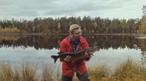 Крупная щука на "подкидуху" | Заготовка материала для строительства зимовья