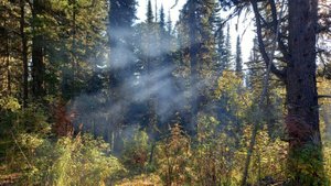 Мистика. ТАЙГА ХРАНИТ  ТАЙНУ_