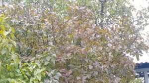 Готовимся к зиме!