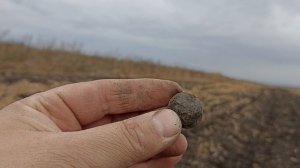 И снова осенний марафон😊