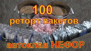 100 реторт пакетов, сколько нужно времени на подготовку. Автоклав НЕФОР.