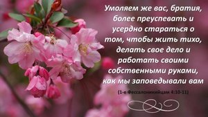 Общее собрание 5.10.2025