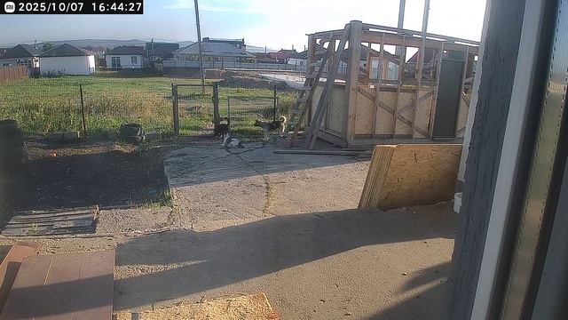 Подготовка к групповому побегу