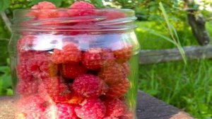 Малиновое варенье без воды