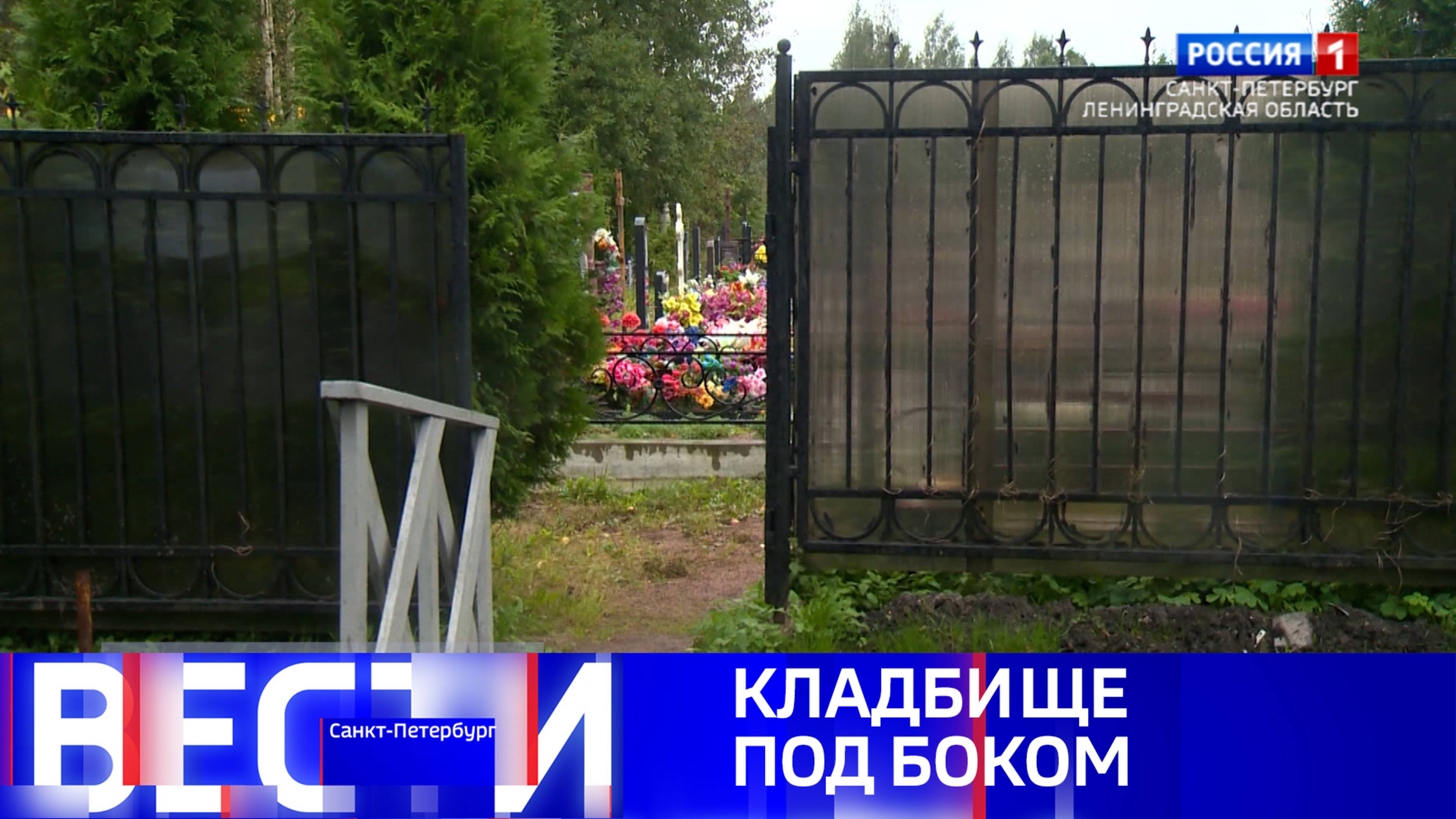 Вести Санкт-Петербург. Выпуск 11.30 от 08.10.2025