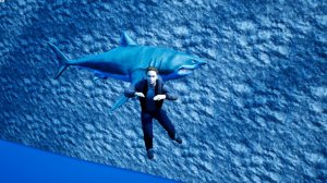 BadGuysAtSchool Приколы часть 2