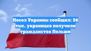 Посол Украины сообщил: 26 тыс. украинцев получили гражданство Польши
