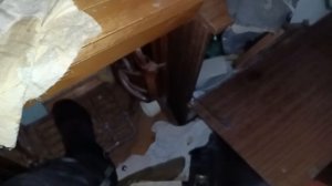Квартира уважаемого когда-то плюшкина