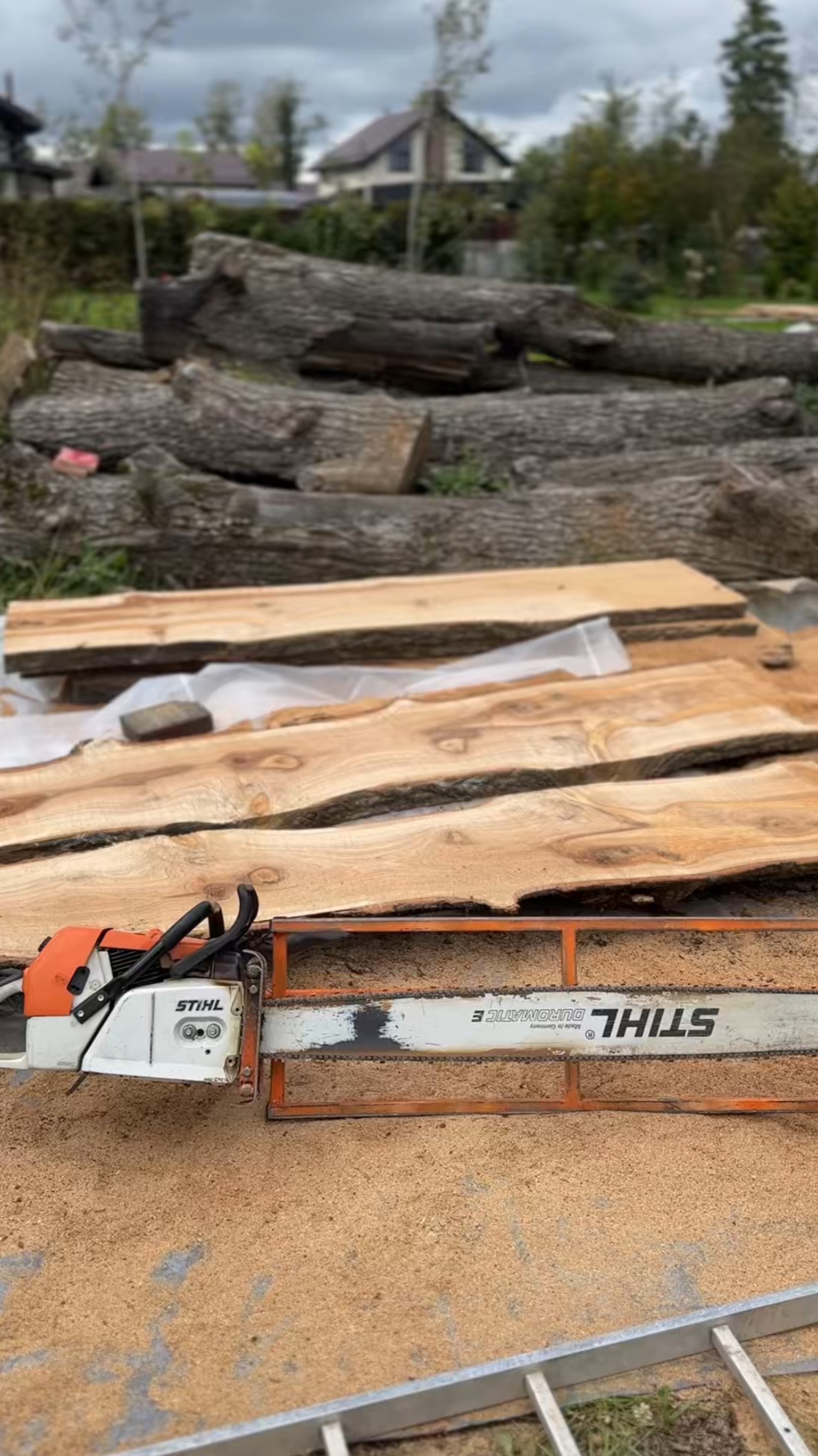 ДубSTIHL ms 880Слэбы!
