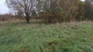 Приехал на участок спустя 2 месяца СПИЦИНО 06.10.25