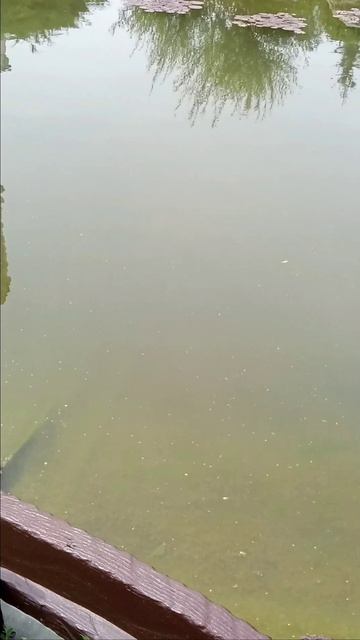 Так и наша душа отражается в зеркале!..