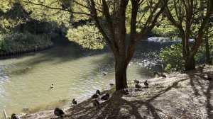 Тестирую айфон 17 про_Вторая попытка