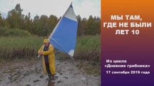 Мы там, где не были лет 10. Дневник грибника 17 сентября 2019 года.