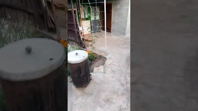 1000018155.mp4